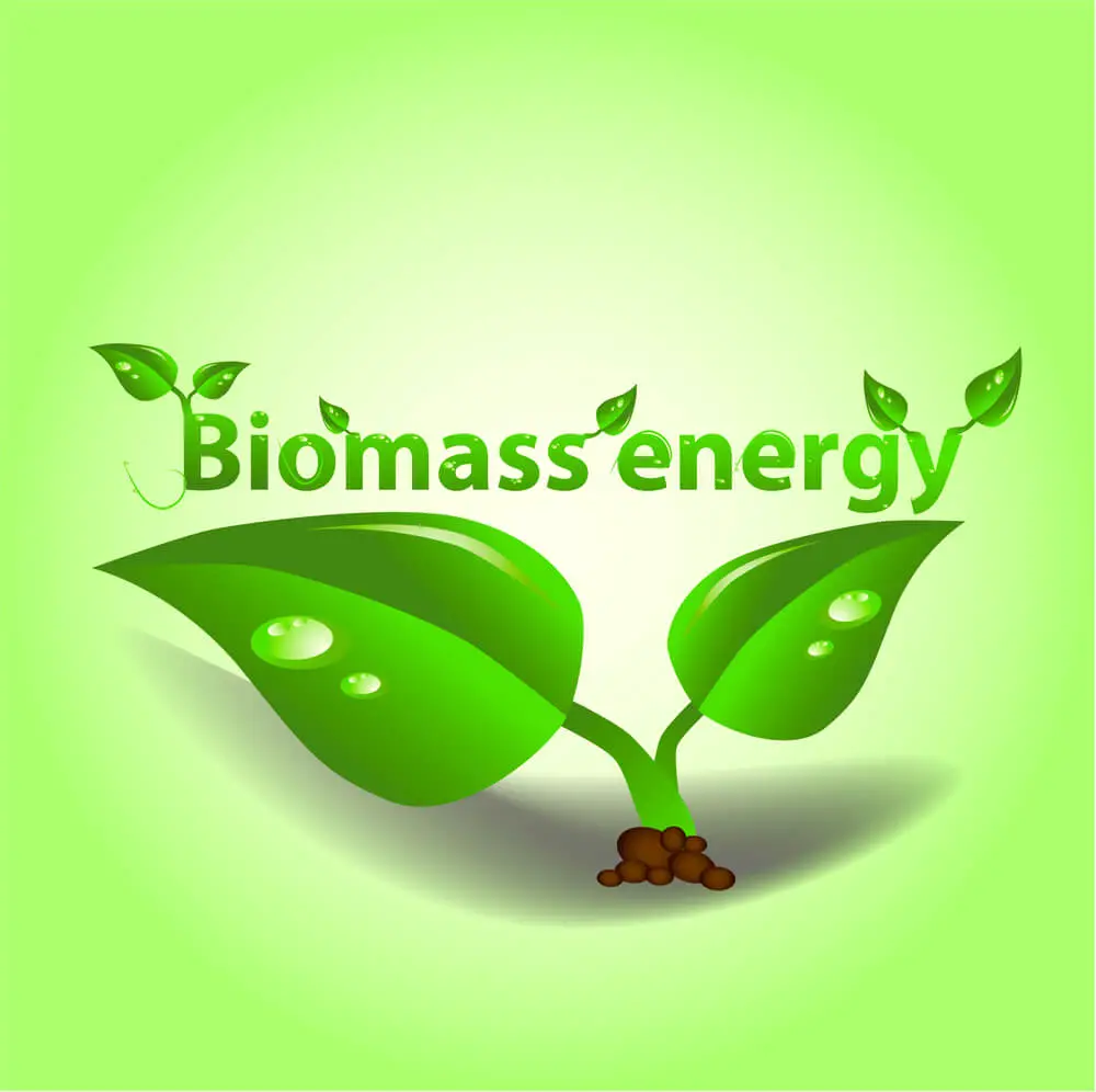 Why is Biomass a Better Alternative to Natural Gas?