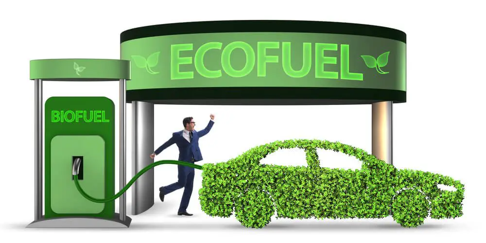 Biofuel vs. Biodiesel (What Is The Difference?)