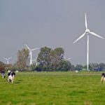 Can You Farm Around Wind Turbines