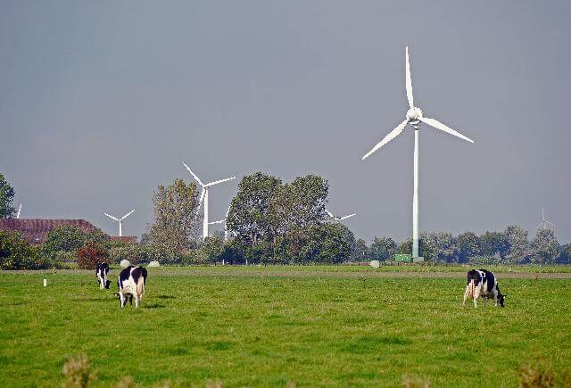Can You Farm Around Wind Turbines